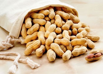 Peanuts are a common food allergen. 