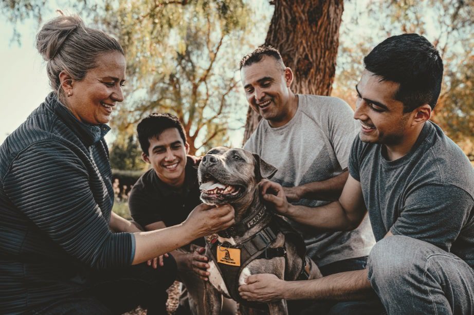 Service dogs offer aid for veterans.
