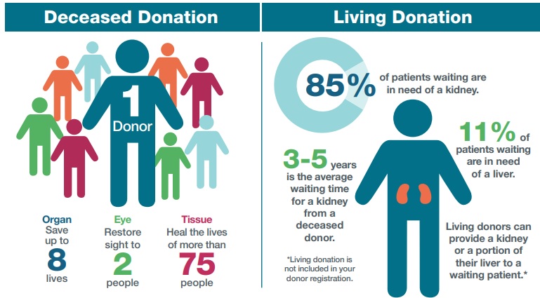 graphic of organ donation impact 