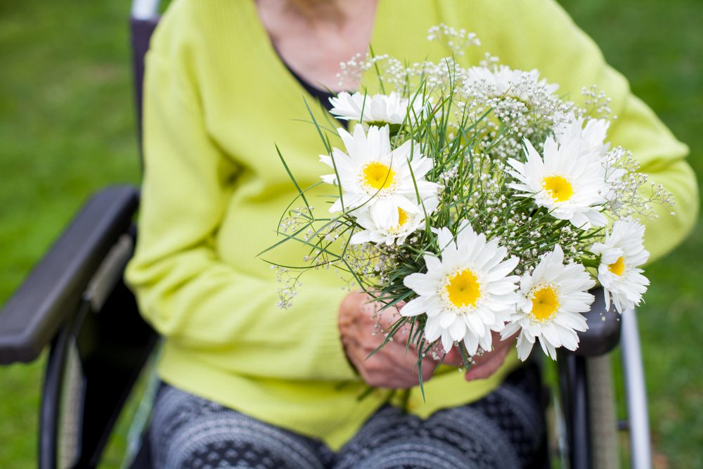 senior woman, seated in wheelchair, holding daisy flower bouquet 
