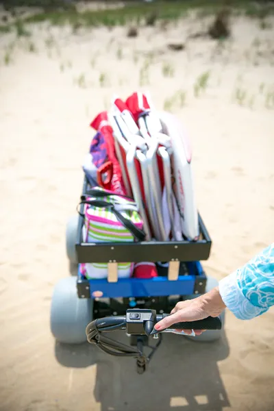 sandhopper motorized beach wagon
